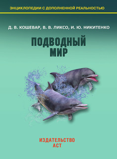 Подводный мир 2