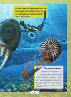 Подводный мир 6