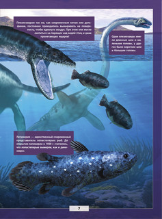 Подводный мир 8