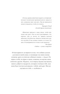 Уроки для 'вожака стаи' 4