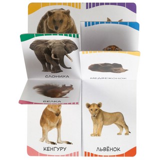 Мамы и малыши. Дикие животные. Первые слова 2