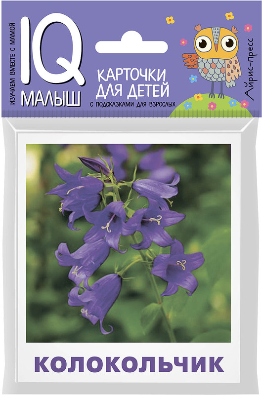 Что растет на клумбе? Обучающие карточки для детей