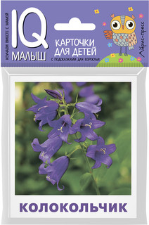Что растет на клумбе? Обучающие карточки для детей