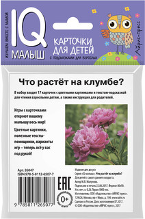 Что растет на клумбе? Обучающие карточки для детей 2