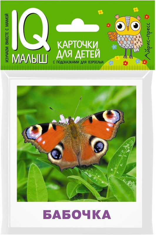 Насекомые. Обучающие карточки для детей