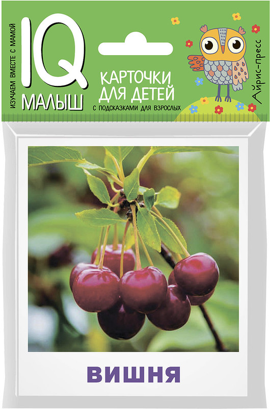 Айрис-пресс Обучающая игра Умный малыш Что растет в саду