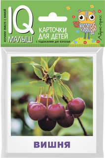 Айрис-пресс Обучающая игра Умный малыш Что растет в саду