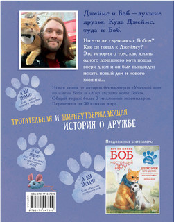 Кот по имени Боб 6