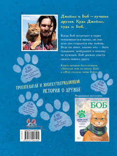 Кот по имени Боб - настоящий друг 3