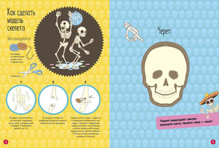 Тело человека. Вырезаем из книги и собираем модель человеческого скелета 2