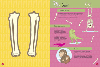 Тело человека. Вырезаем из книги и собираем модель человеческого скелета 3