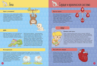 Тело человека. Вырезаем из книги и собираем модель человеческого скелета 5