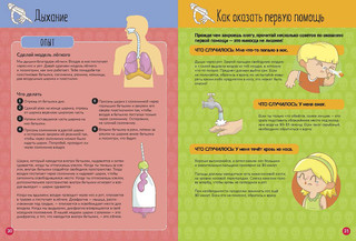 Тело человека. Вырезаем из книги и собираем модель человеческого скелета 6