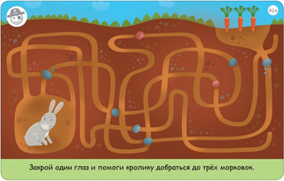 Робинс Обучающая игра Асборн Карточки Тренируем зрение 4