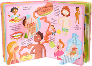 Мое тело. Волшебные окошки 2