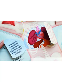 Мое тело. Волшебные окошки 4