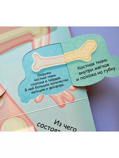 Мое тело. Волшебные окошки 5