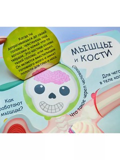 Мое тело. Волшебные окошки 6