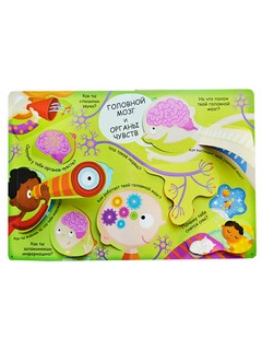 Мое тело. Волшебные окошки 7