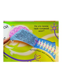 Мое тело. Волшебные окошки 9