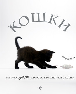 Кошки. Книжка-сюрприз для всех, кто влюблен в кошек 1
