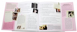 Кошки. Книжка-сюрприз для всех, кто влюблен в кошек 4