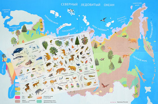 Природные зоны России. Животные и растения. Обучающий плакат (+ 80 наклеек) 2