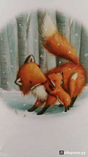 Первый день зимы 38