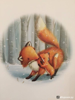 Первый день зимы 41