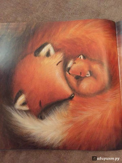 Первый день зимы 43