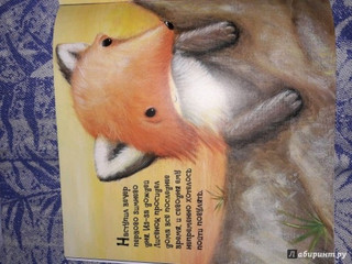 Первый день зимы 48