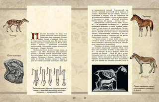 Удивительные кони. Истории, рисунки и фотографии 2