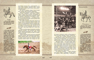 Удивительные кони. Истории, рисунки и фотографии 8