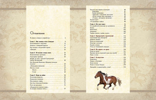 Удивительные кони. Истории, рисунки и фотографии 9