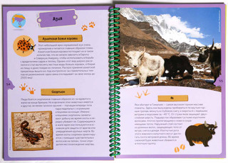 Животные планеты. Интерактивная детская энциклопедия с магнитами 4