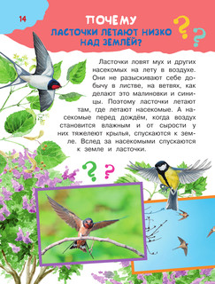 100 тысяч почему 16