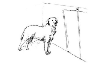 Митя Тимкин. Приключения продолжаются 3