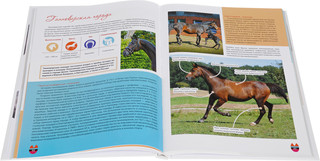 Лошади. Большая энциклопедия 2