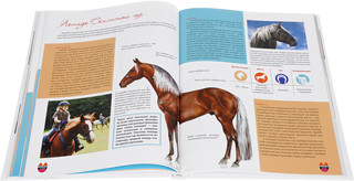 Лошади. Большая энциклопедия 3