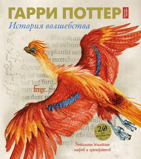 Гарри Поттер. История волшебства 1