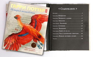 Гарри Поттер. История волшебства 2