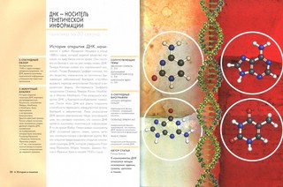 Генетика за 30 секунд 3