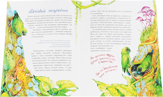 Птички-невелички. Кто на свете меньше всех? 2