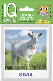 Домашние животные. Обучающие карточки для детей