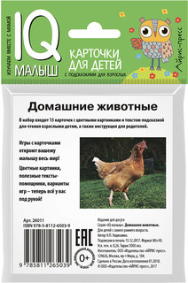 Домашние животные. Обучающие карточки для детей 2