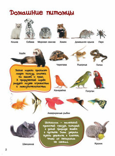 5000 картинок, которые можно рассматривать целый год 2