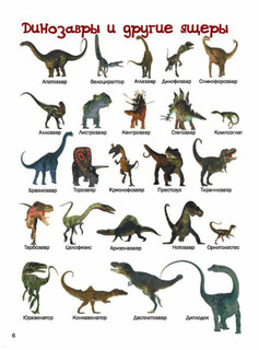 5000 картинок, которые можно рассматривать целый год 6