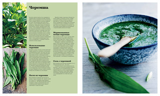 Нордическая кухня 5