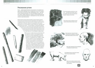 Рисунок простым карандашом. Школа рисования 6