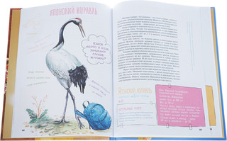 Мой любимый зоопарк 2